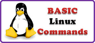 Linux basic commands