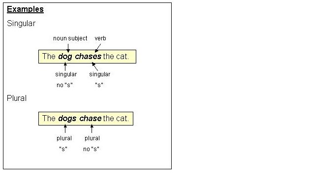 ex of subject verb agreement