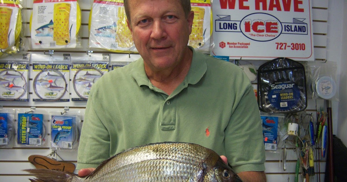 Montauk action! Chasing Tails Bait & Tackle