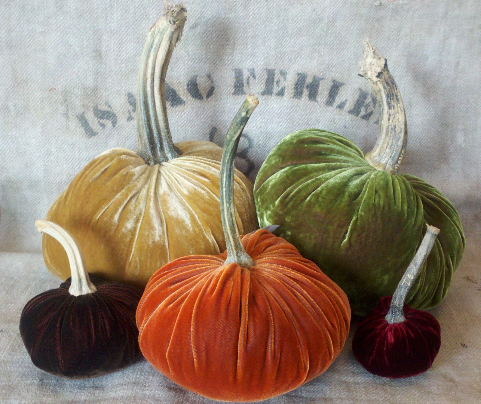 urban farmhouse Velvet pumpkins are here!