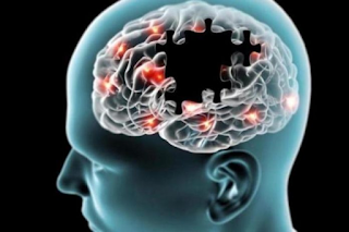 Cientistas descobrem novo método para combater o Alzheimer