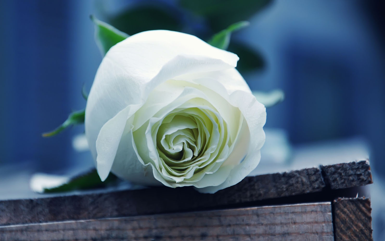 free 3d wallpapers download blogger