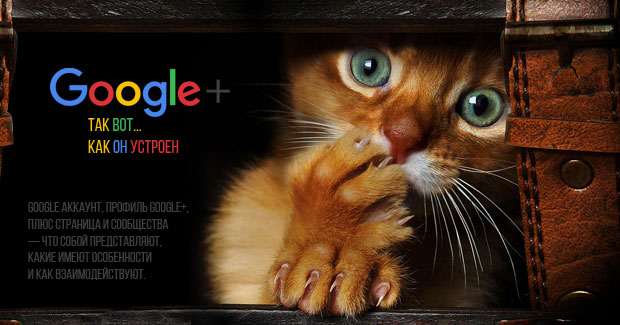 Как устроен Google Plus