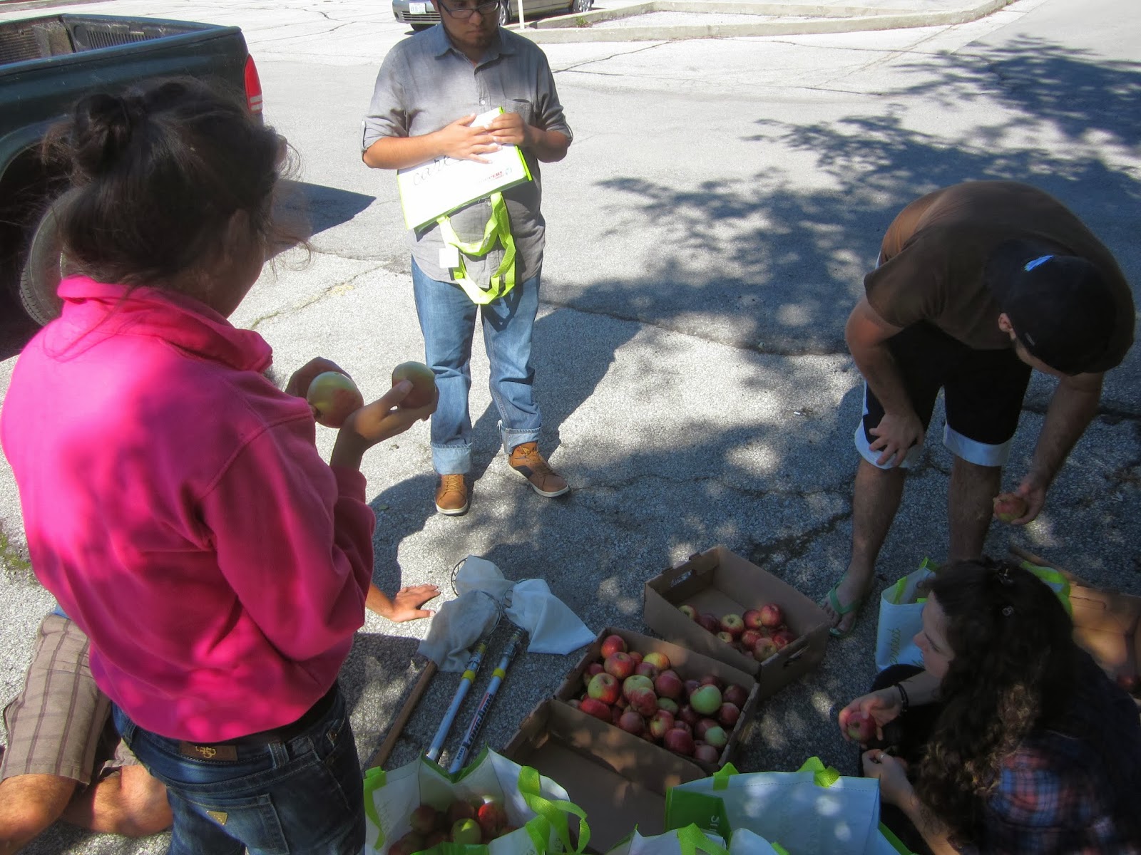 HAMILTON FRUIT TREE PROJECT