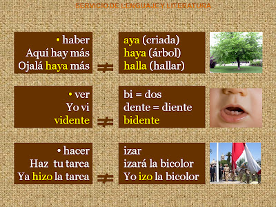 palabras homofonas respecto de los