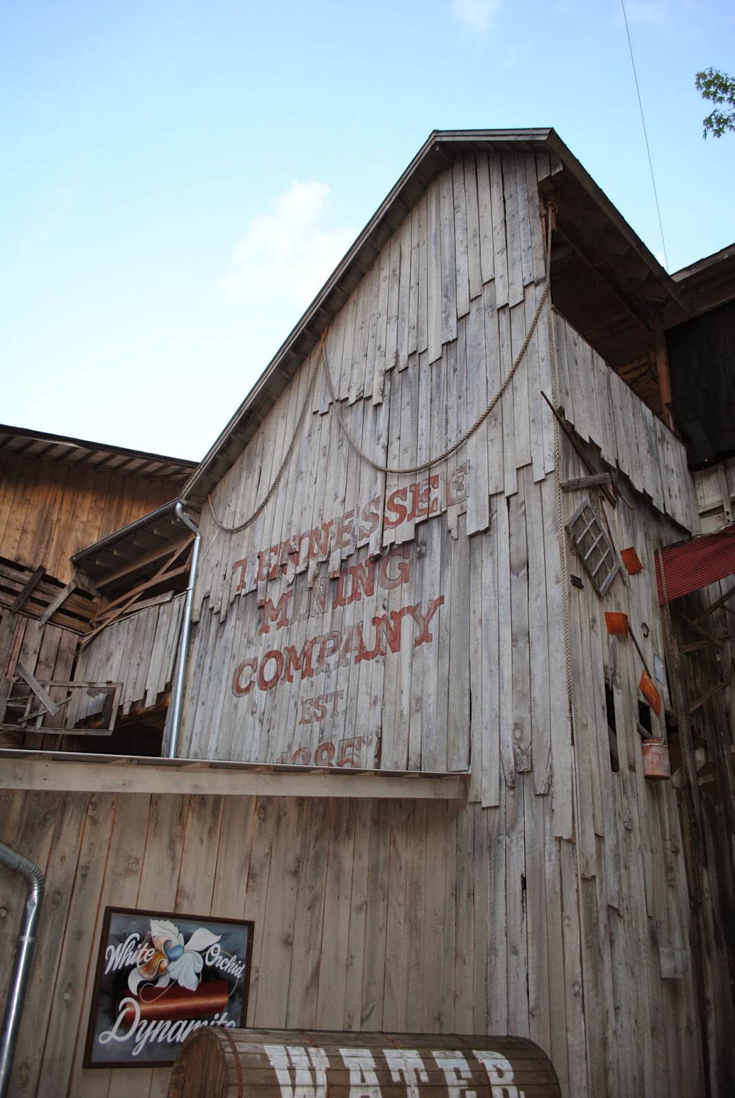 The Carpetbagger Dollywood and the Dolly Parton Empire