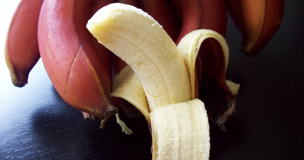 Bananas & More A noteworthy banana Lakatan