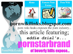 pornwikileaks