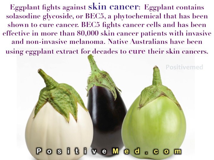 Our Journey Of CompletionBodyHeartSoul EGGPLANT FIGHTS AGAINST SKIN