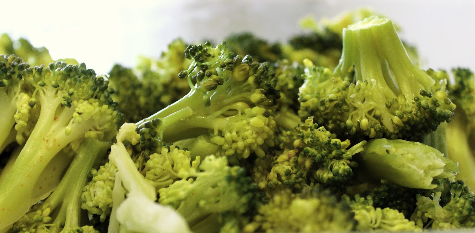 Leftover Broccoli Fritters Recipe What's Cookin' Italian Style Cuisine