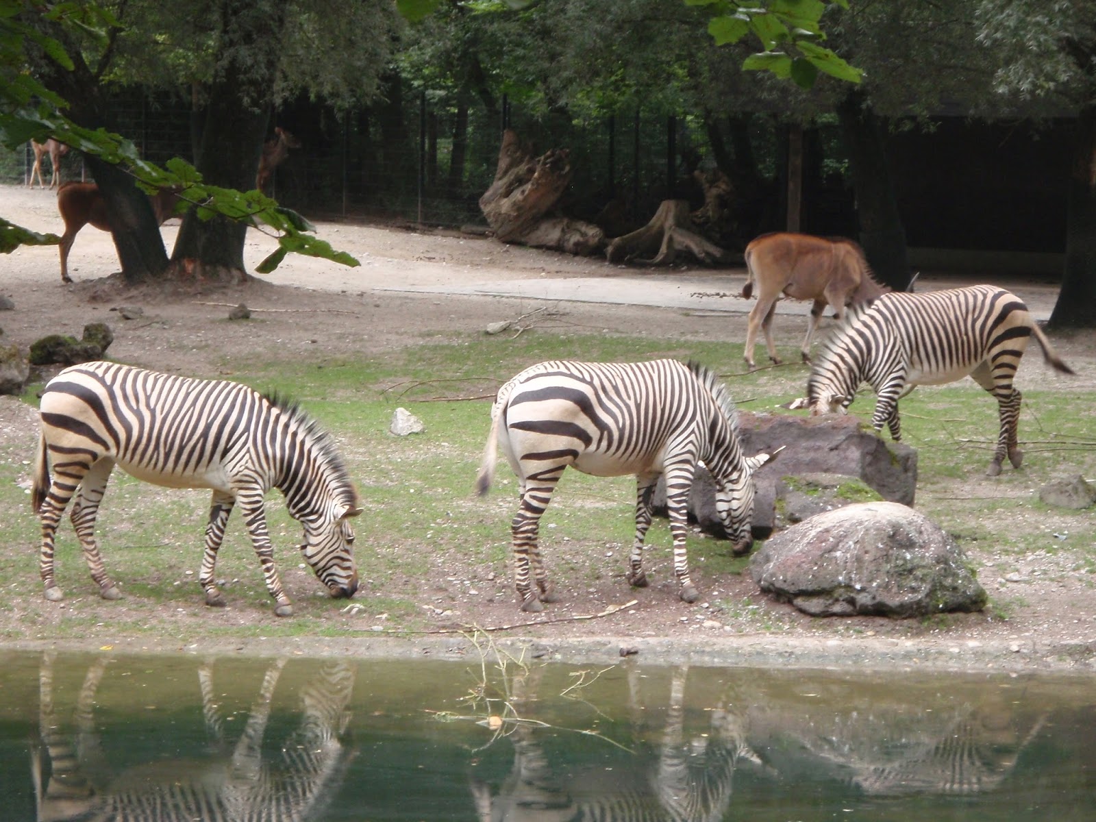 incontri amicizia amore