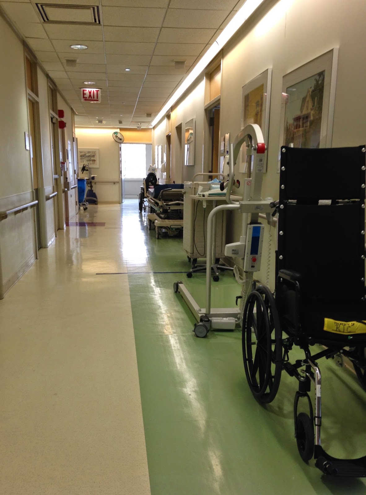 Millions of Cells : Escaping the Rehabilitation Institute of Chicago