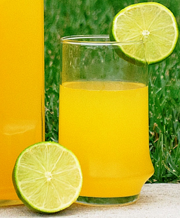The Bestest Recipes Online: Summer Citrus Punch