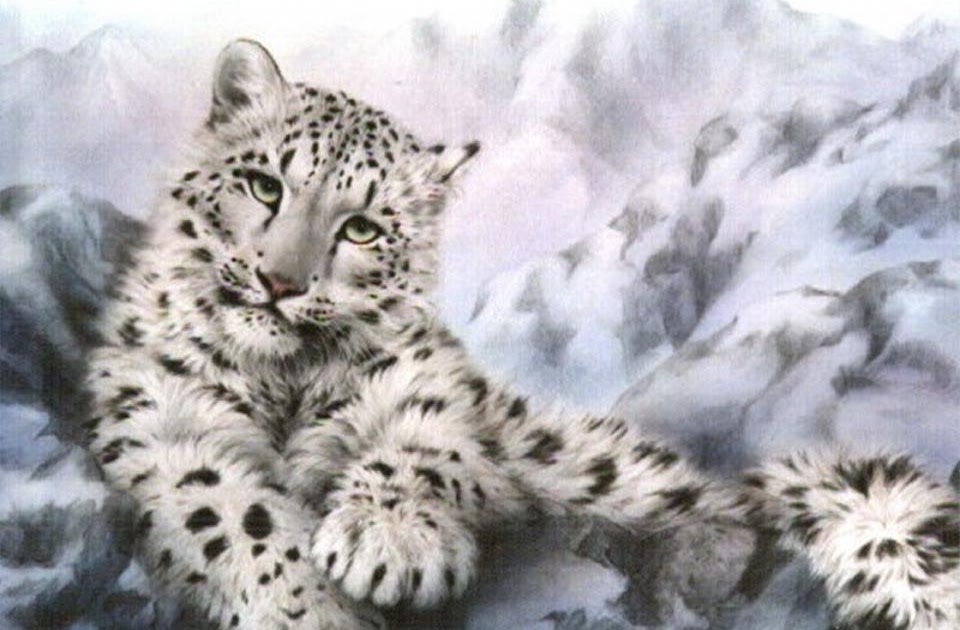 Spreebird wildlife: SNOW LEOPARD (State Animal of Pakistan)