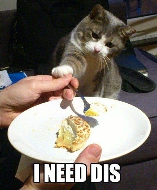 I need dis (3 pics) Amazing Creatures