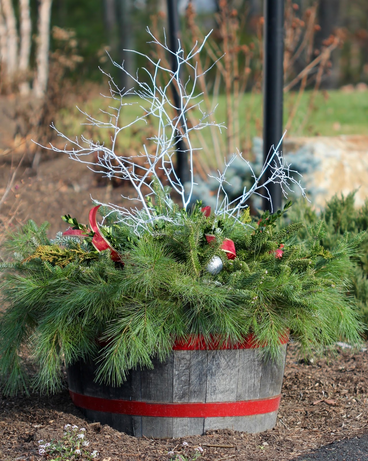 Red House Garden DIY Outdoor Winter Containers