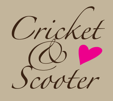 Cricket & Scooter