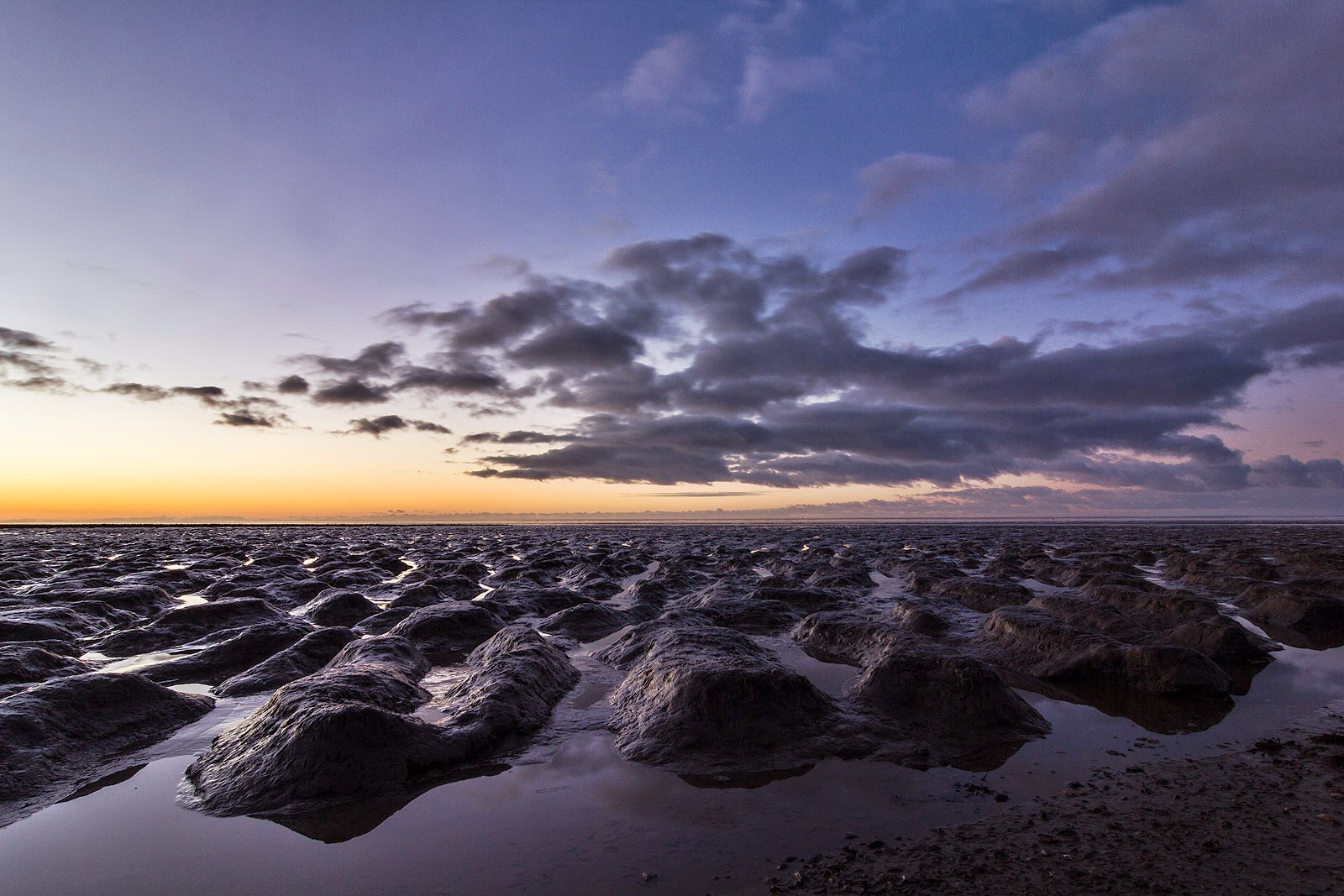 Zilte duinen bij Oosterbierum Kleiduinen bij Oosterbierum