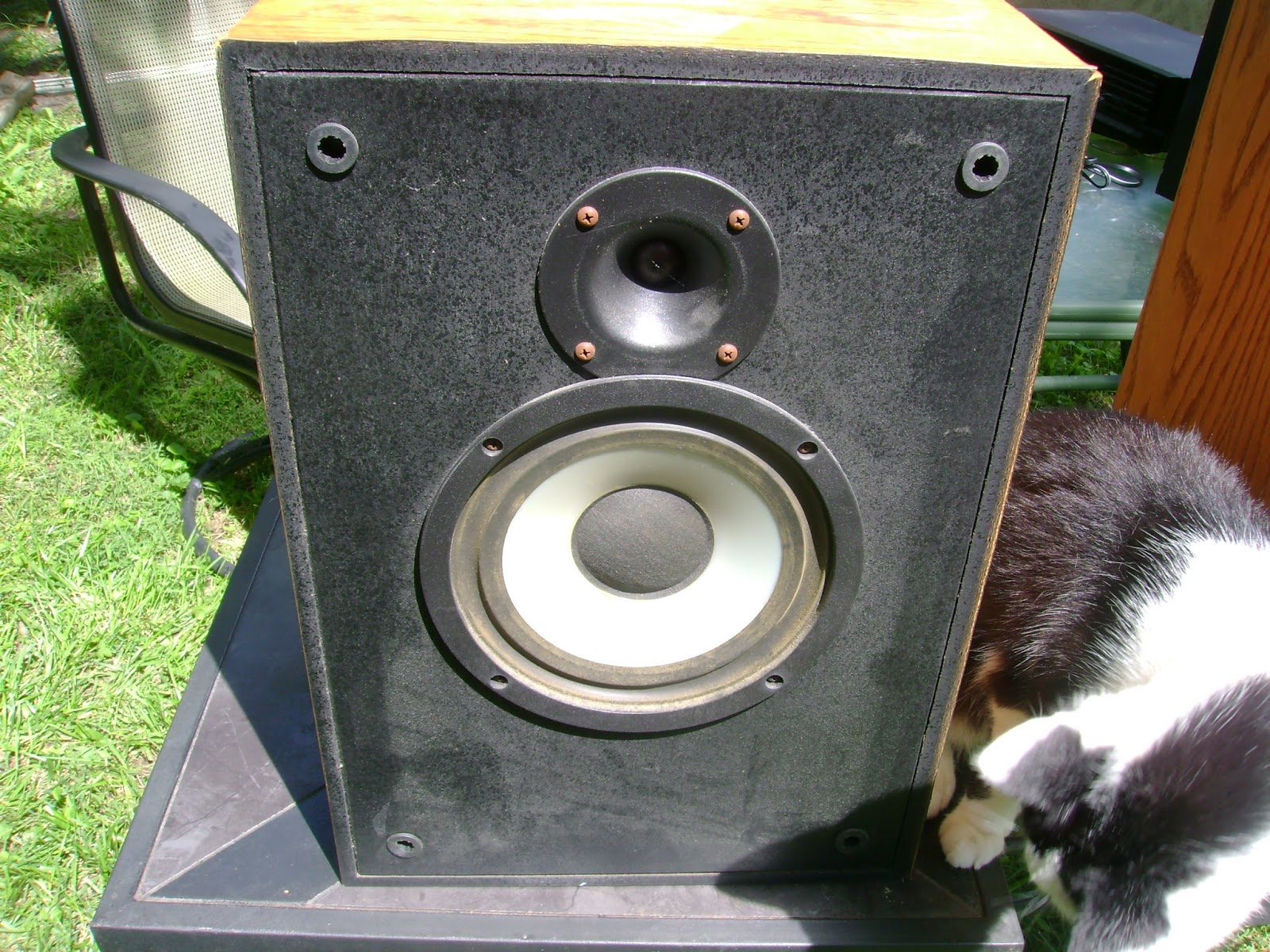 klipsch kg2 speakers