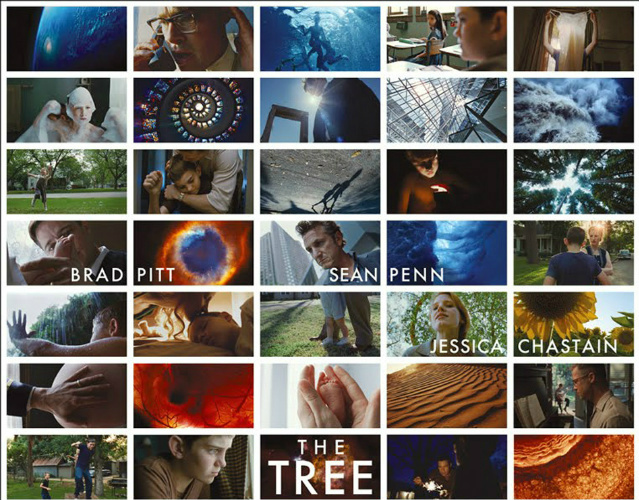 Watch The Tree Full Movie Watch The Tree Full Movie
