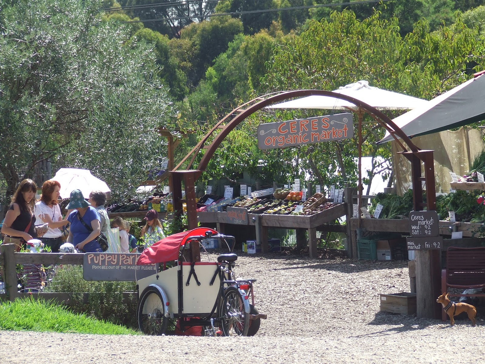 Ceres Community Environmental Park The Greening of Gavin