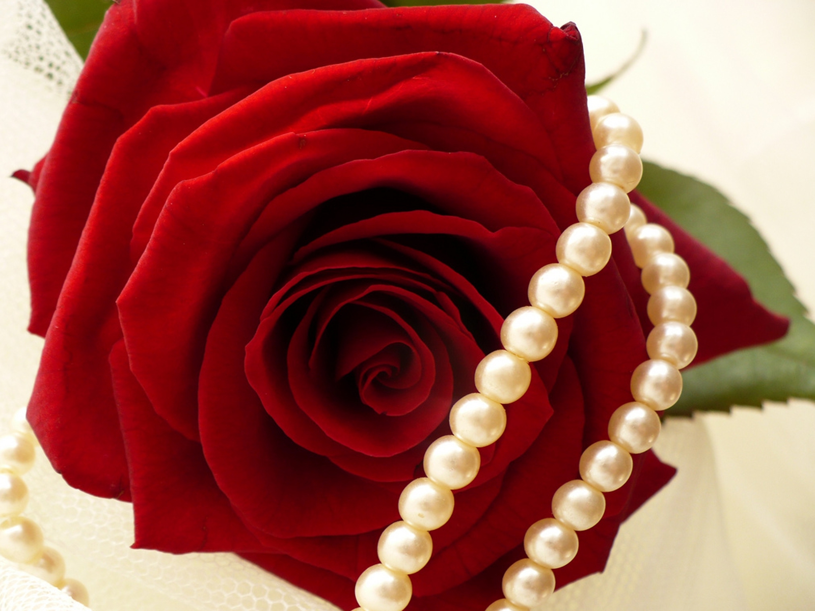 http://2.bp.blogspot.com/-UTG6M-xuBL8/UElTA9rIleI/AAAAAAAAB64/_c4deY0i3RA/s1600/112228.jpg