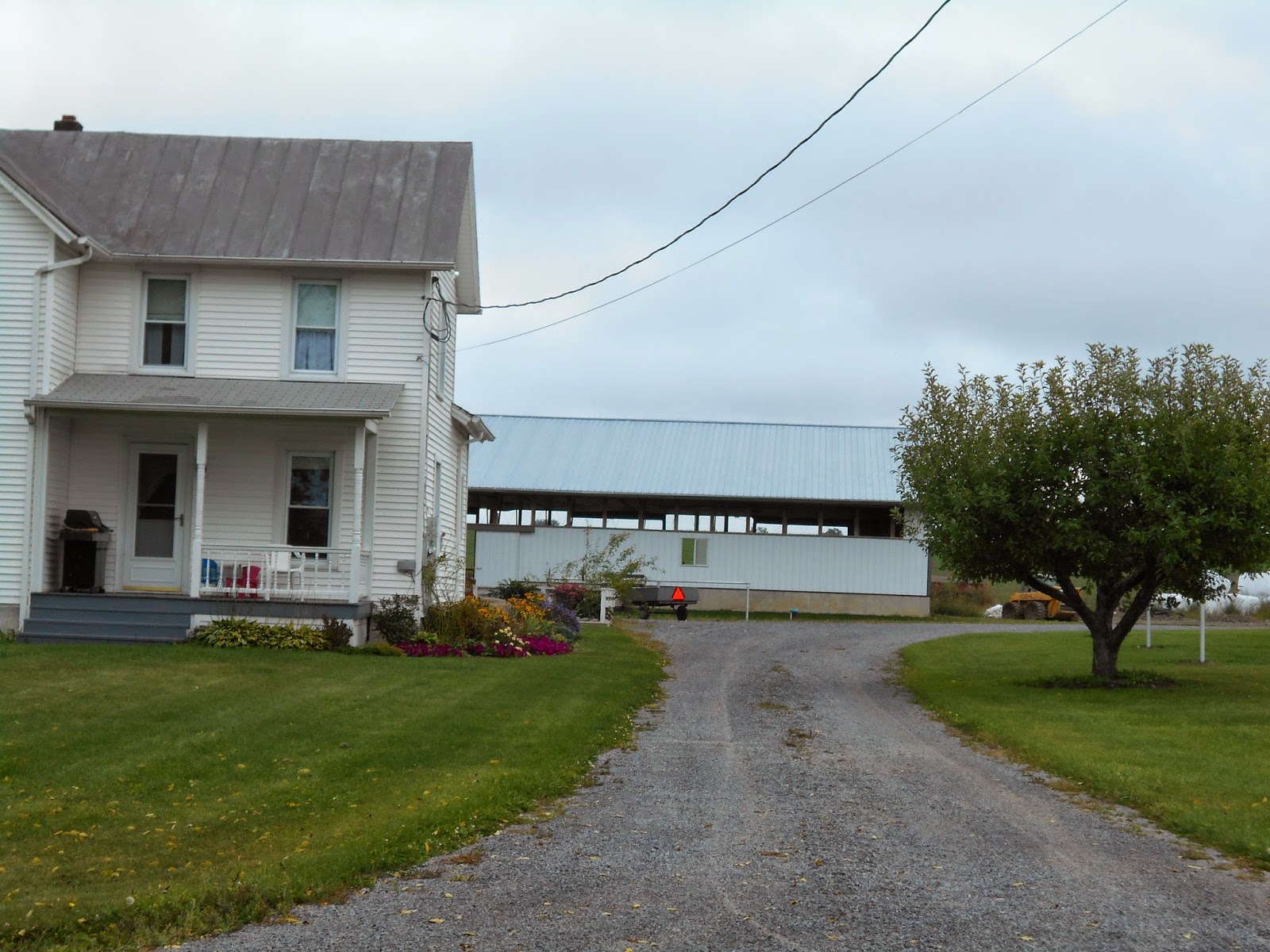 New York State of Mind MENNONITE FARM AND NORTHERN EDGE LUMBER
