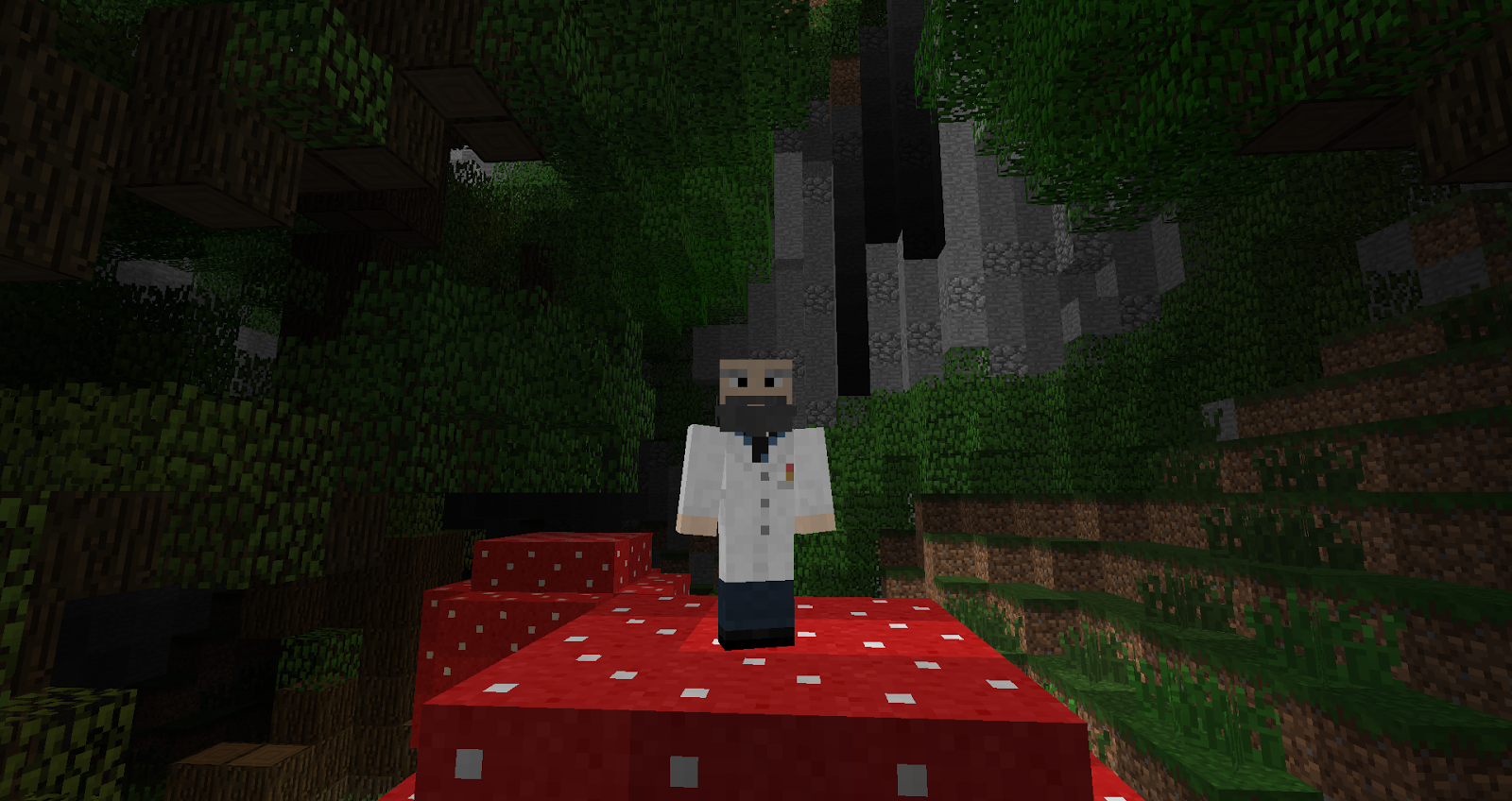 Dr.Science in Minecraft