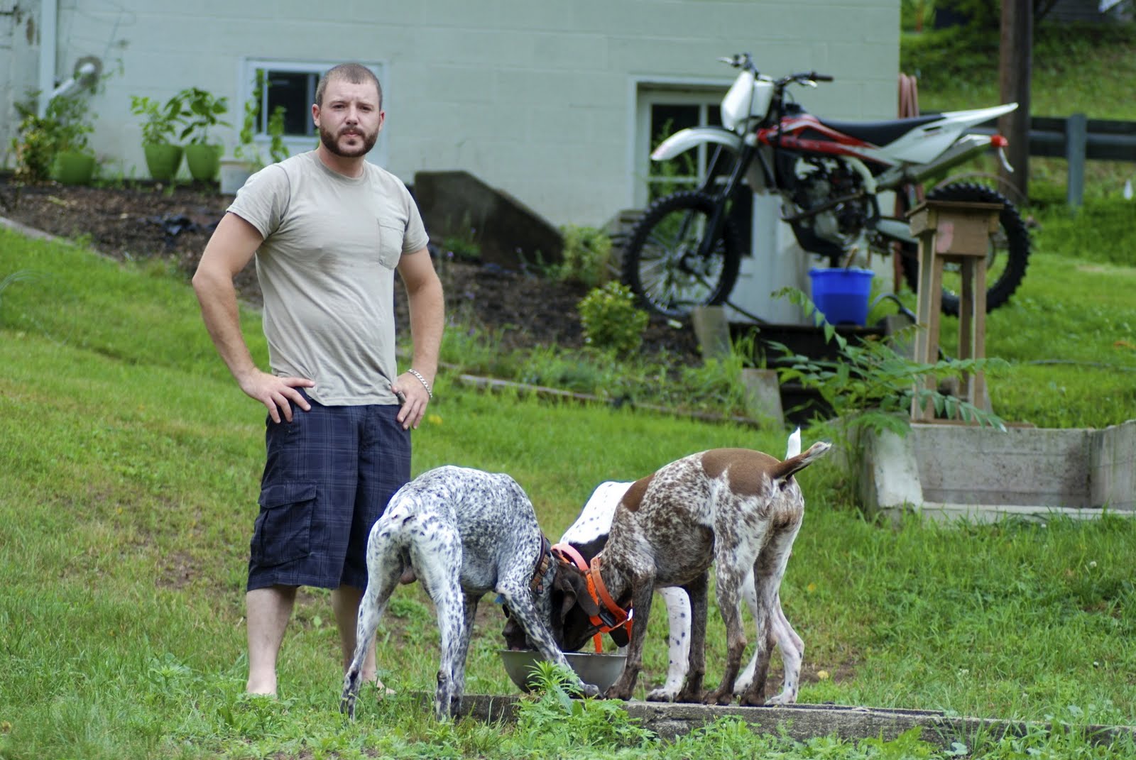 Adventures of a GSP Hunting Dog GSP Dog Party!
