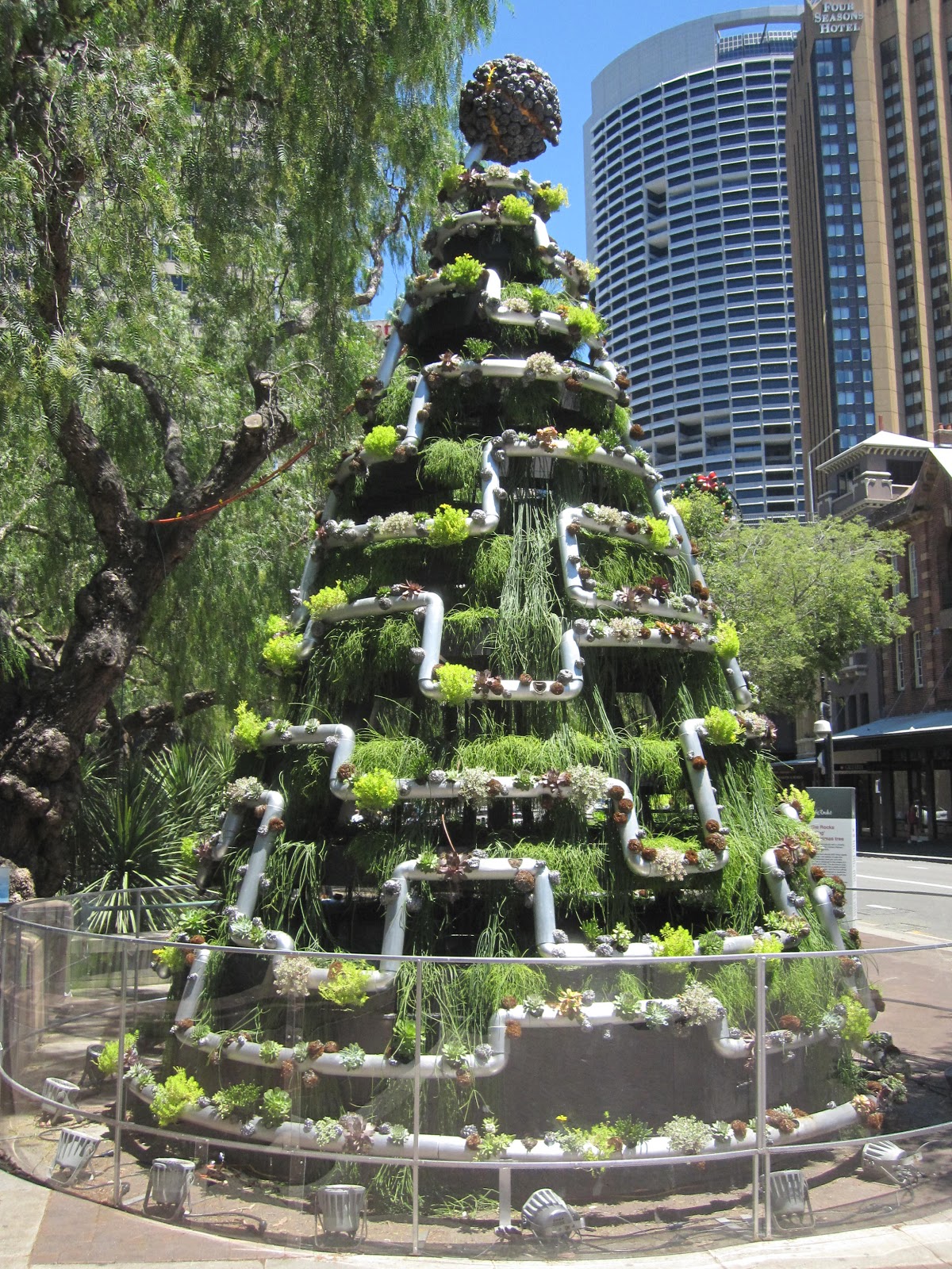 Sydney City and Suburbs The Rocks, Christmas tree