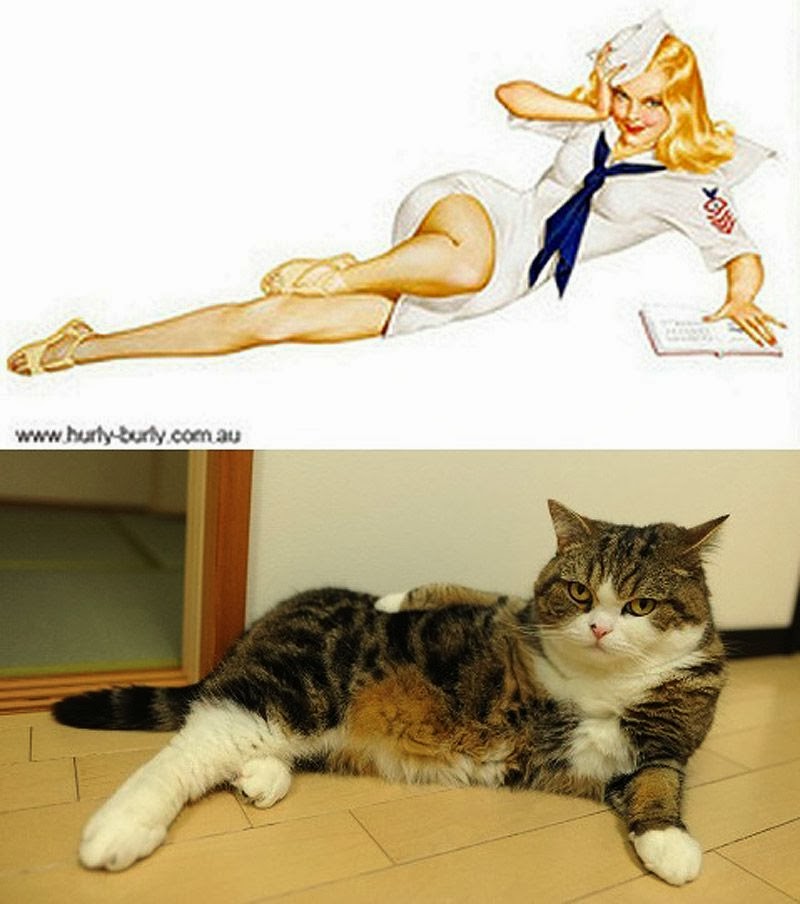 Cats Imitate the Pinup Girls with Pictures (20 Pics) .