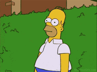 homer-simpson-bsh-gif.gi