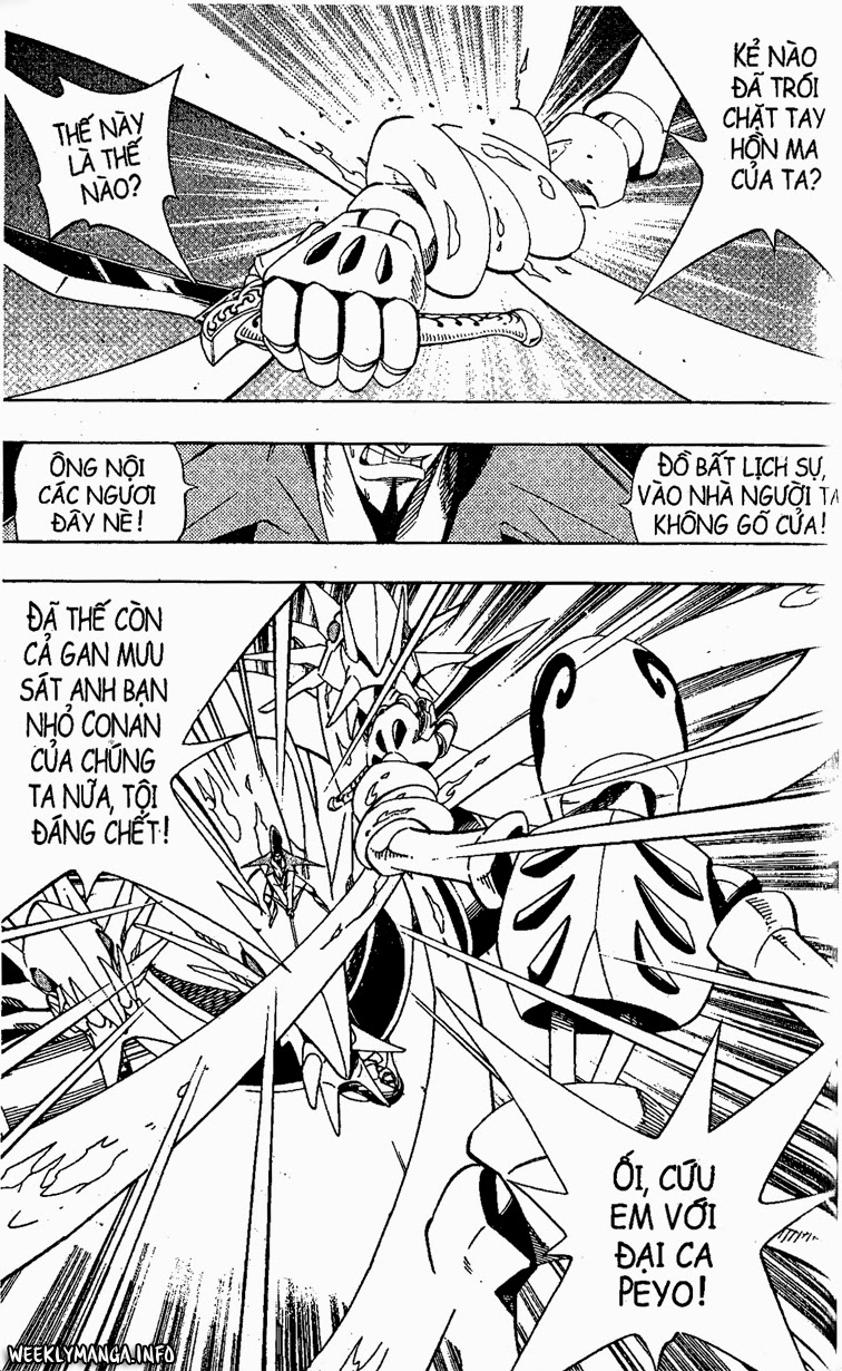 Shaman King [Vua pháp thuật]