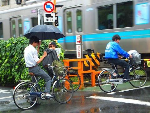 How Many Japanese Cycle To Work?