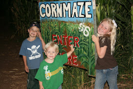 Corn Maze