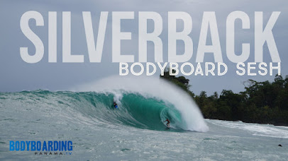 SILVERBACK BODYBOARD SESH