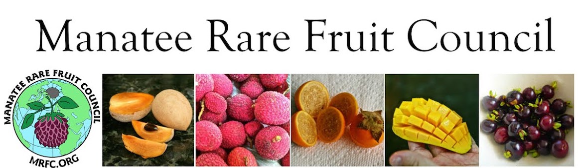 Manatee Rare Fruit Council