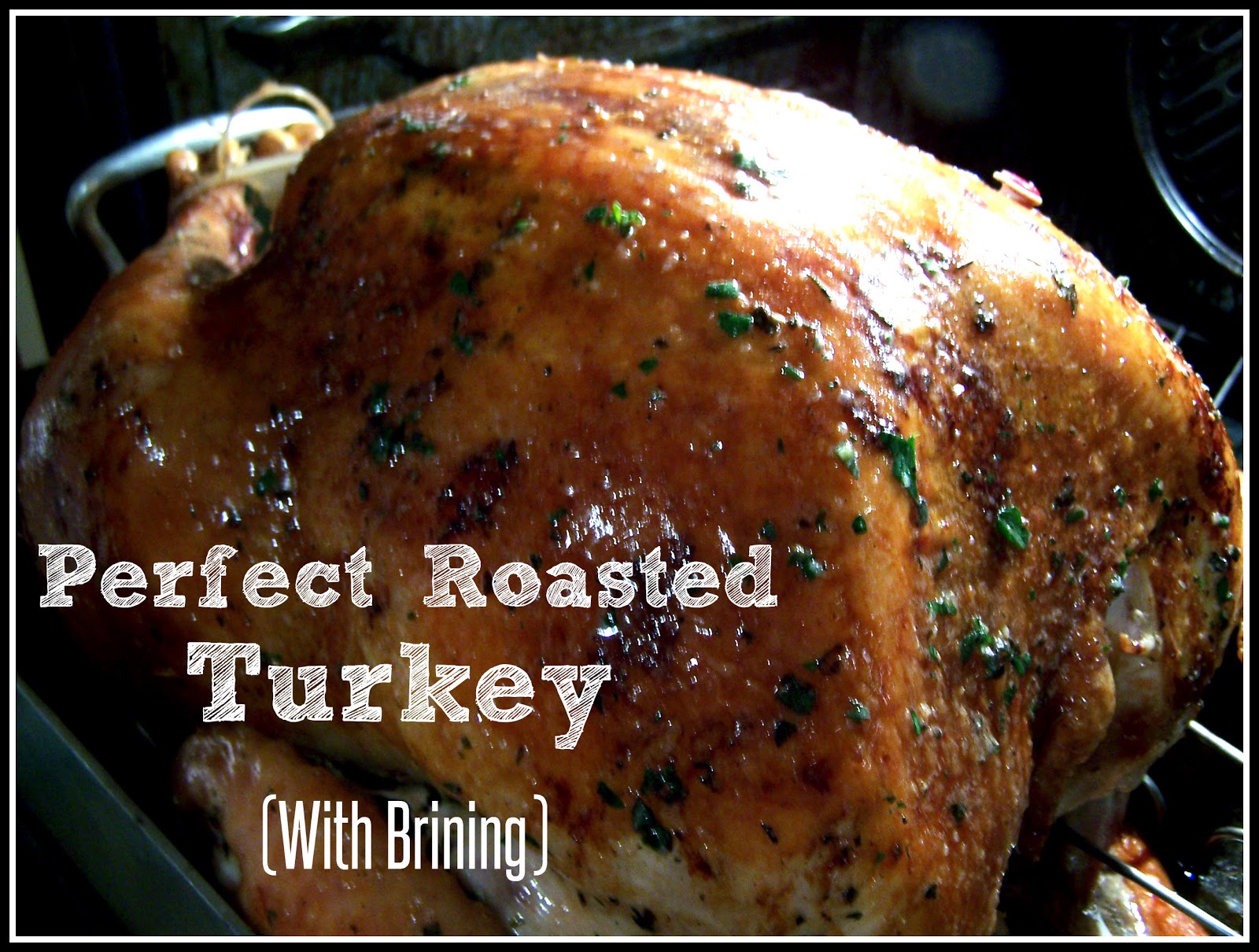Go Ahead... Take A Bite! Perfect Roasted Turkey (With Brining)