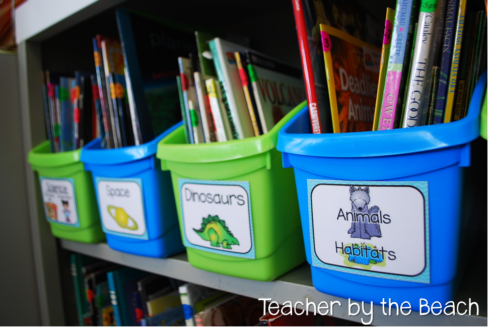 Book Bins GIVEAWAY!! Teacher by the Beach