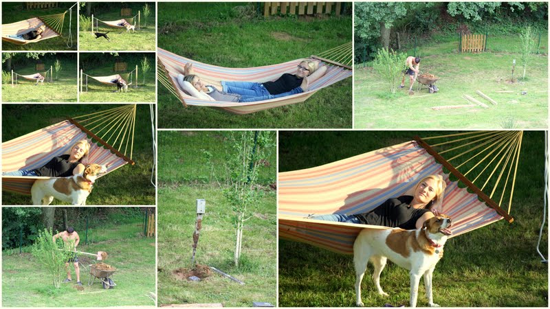 Unser Liebevoller Haus Und Gartenblog 07 01 2011 08 01 2011