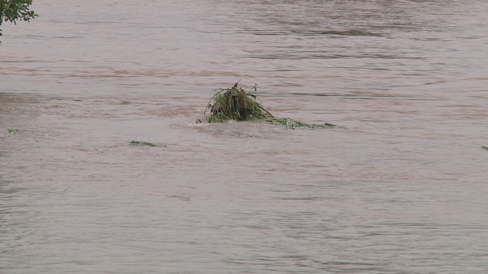 Irakischer Schleuser In London Heathrow Von Spezialkrafte Der