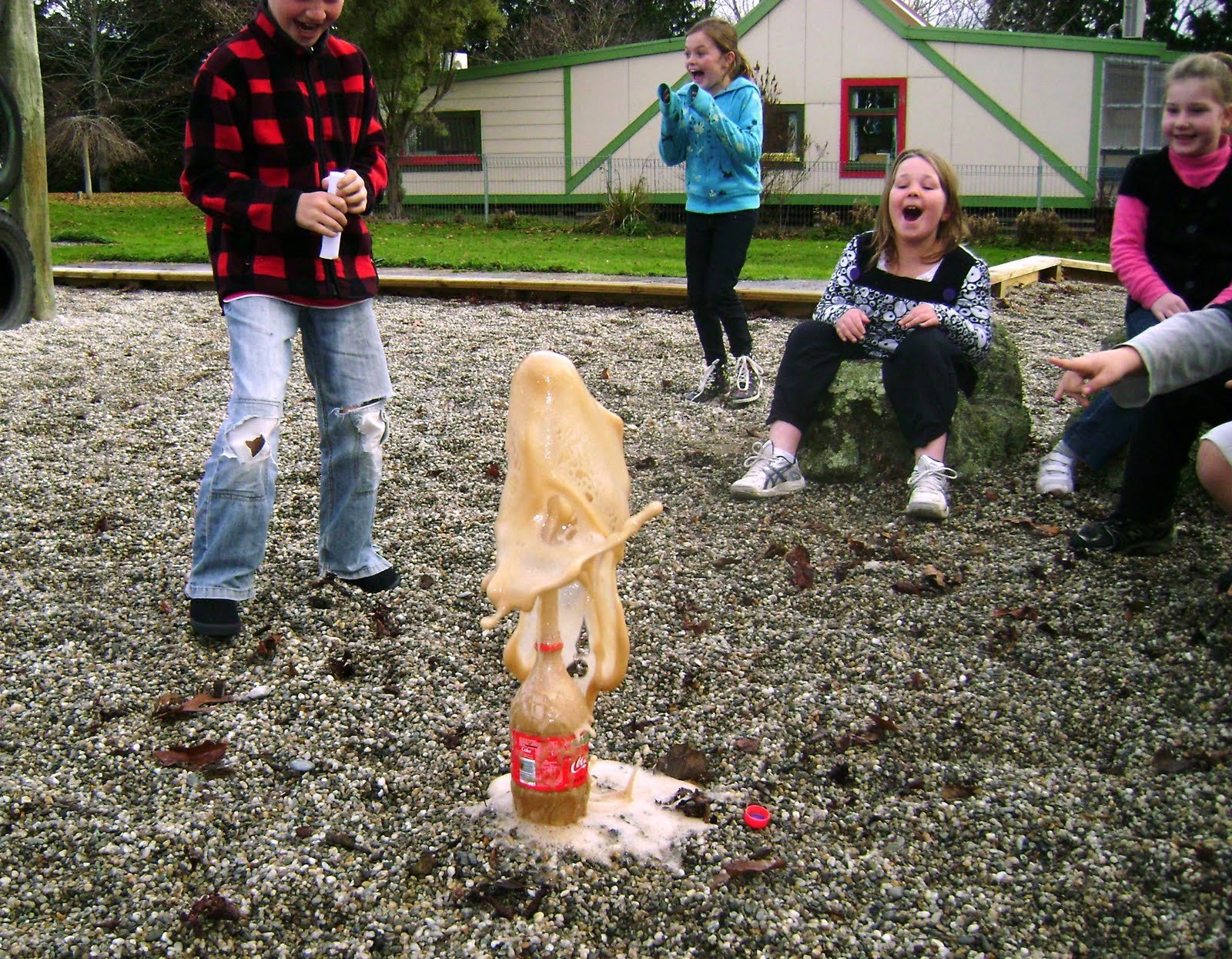 Cola explosion essay 05 image