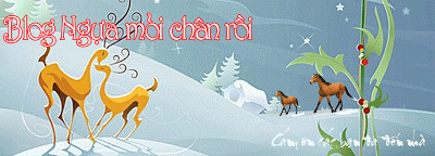 Blog của Ngựa mỏi chân rồi