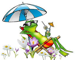 Grenouille dans un champs de crocus