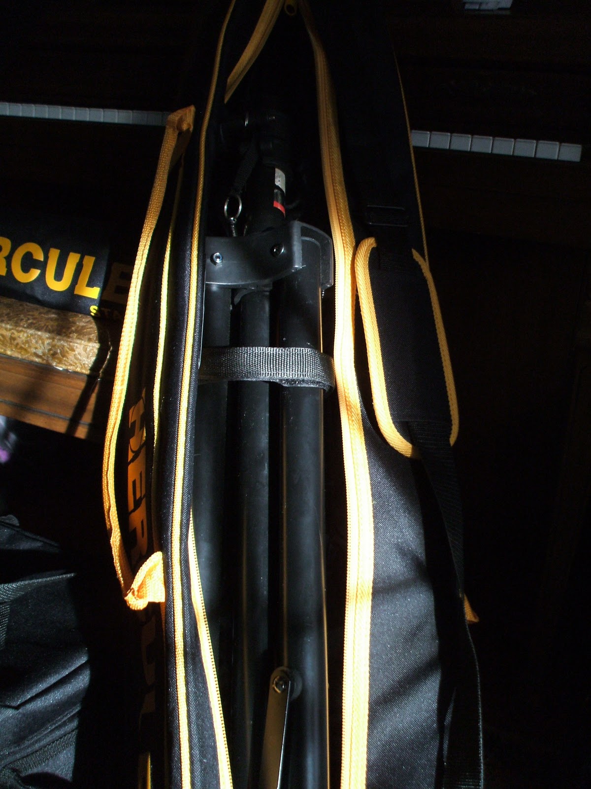 The New Eclectic Sound Experience Ernie Ball Gig Bag Amp & Touring Gear