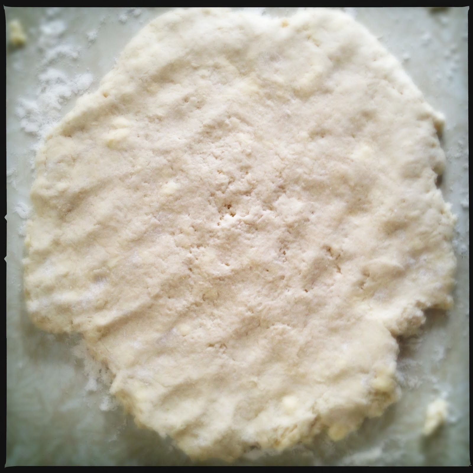 Buttermilk Biscuits Pook's Pantry Recipe Blog