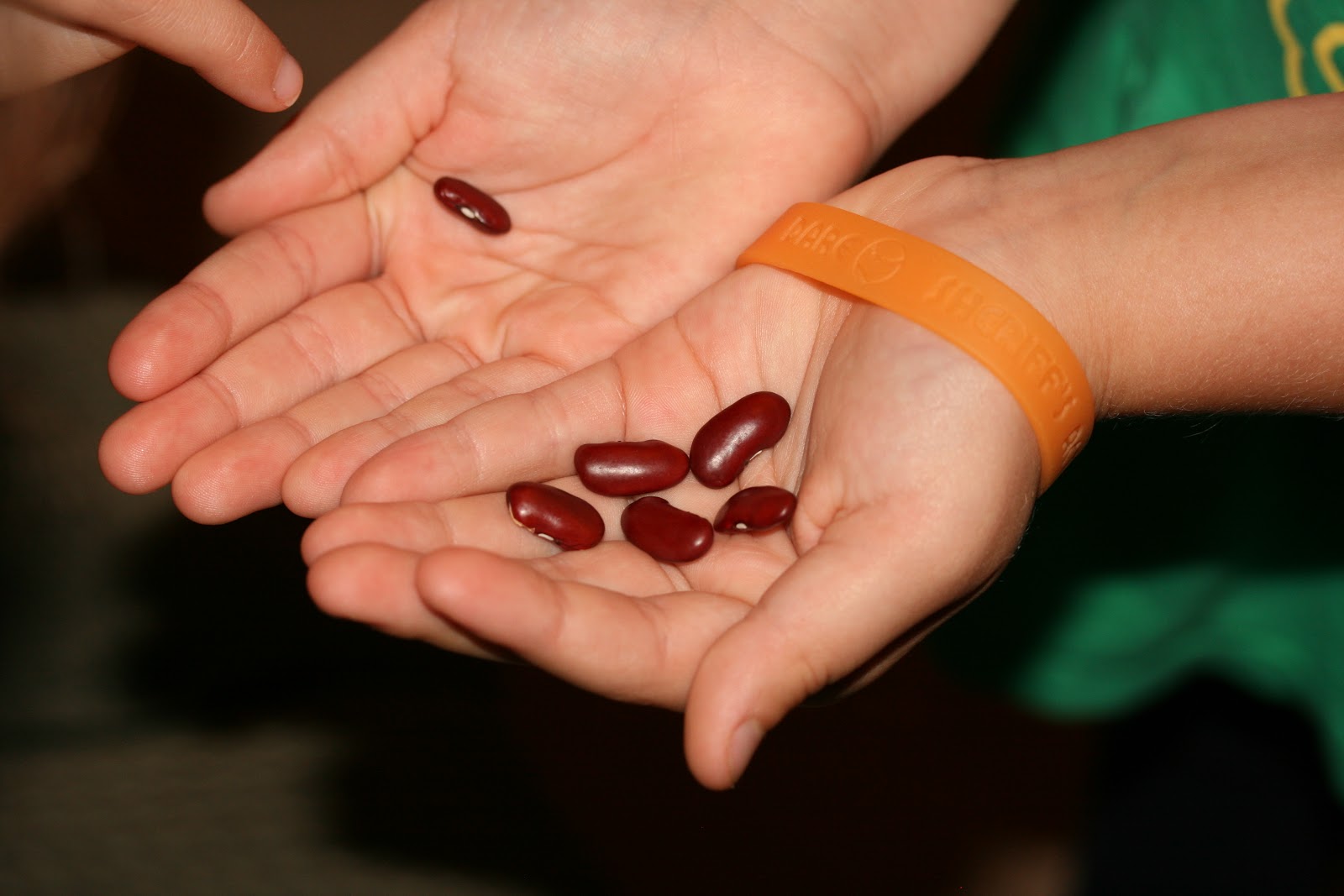 Go Figure! Follow the Bouncing Ball?