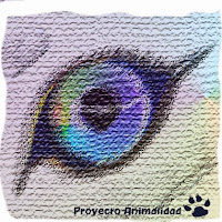 http://proyectoanimalidad.blogspot.com.es/