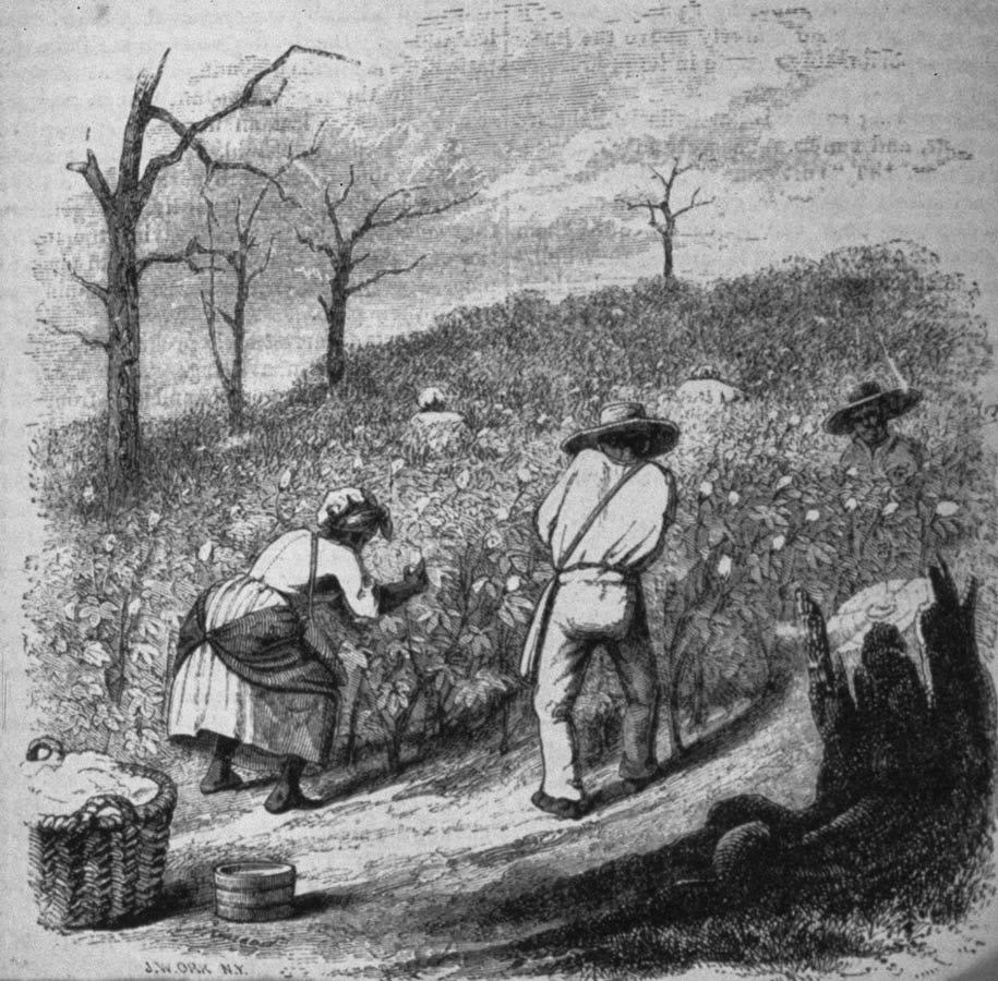 the role of slavery in the american economy in the 1800s “regret for the role maryland played in instituting • why did slavery decline following the american a guide to the history of slavery in maryland traces. the role of slavery in the american economy in the 1800s “regret for the role maryland played in instituting • why did slavery decline following the american a guide to the history of slavery in maryland traces.