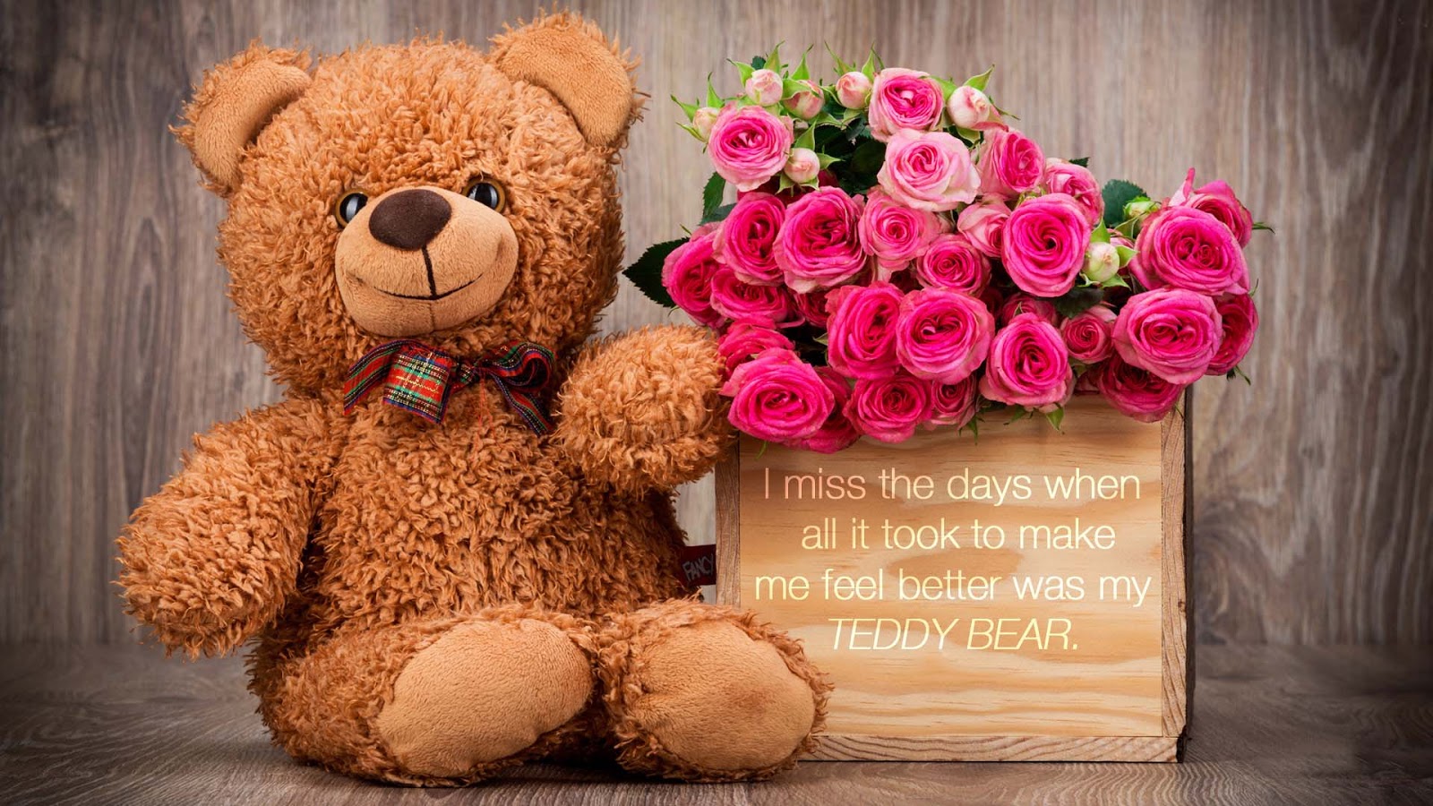 Lovely And Beautiful Teddy Bear Wallpapers ~ Allfreshwallpaper